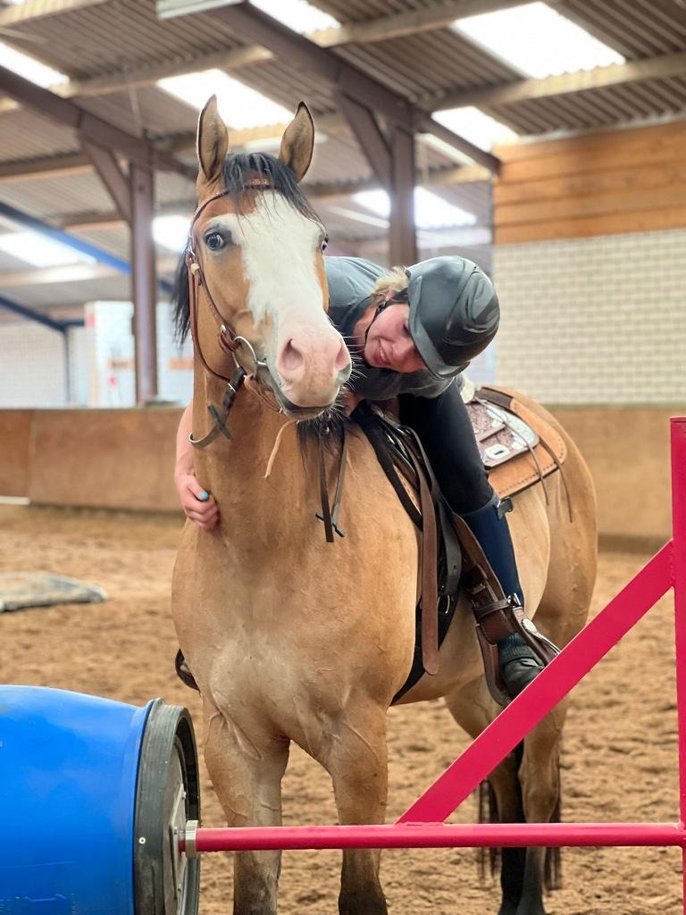 Paardrij lessen, bosritten en trails, Diensten en Vakmensen, Dieren | Paarden | Verzorging, Oppas en Les, Verzorging of Verzorgpony's