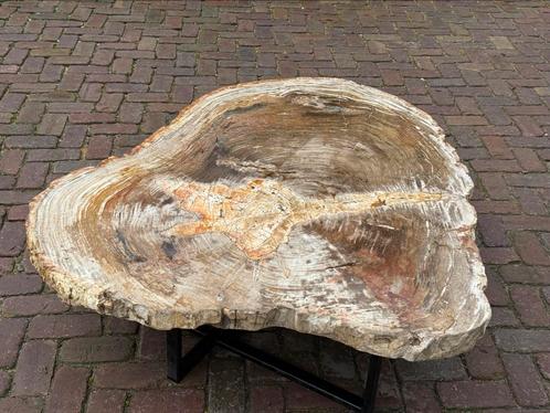Versteend hout salon tafel, grote versie, circa 150 cm!, Huis en Inrichting, Tafels | Salontafels, Minder dan 50 cm, 50 tot 100 cm