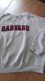 Dames HARVARD sweatshirt, grijs. Maat M. H&M., Kleding | Dames, Ophalen of Verzenden, Zo goed als nieuw, Maat 38/40 (M), Grijs