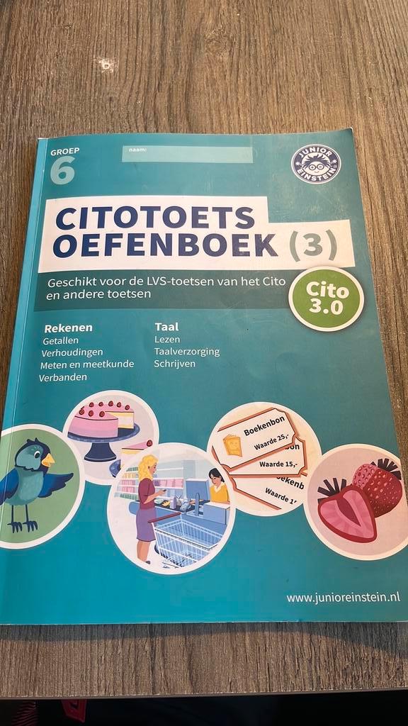 Citotoets Oefenboek groep 6, Boeken, Schoolboeken, Zo goed als nieuw, Nederlands, Overige niveaus, Ophalen of Verzenden