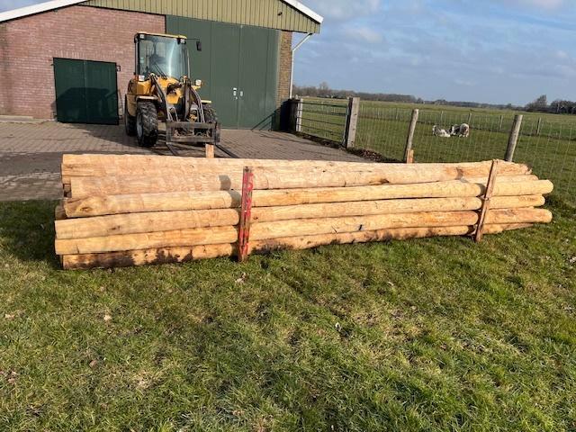 kastanje palen 500 cm, Tuin en Terras, Palen, Balken en Planken, Nieuw, Palen, 250 cm of meer, Ophalen
