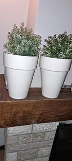2 vazen bloempotten van Intratuin Degelijke bloempotten incl, Wit, Aardewerk of Porselein, Ophalen of Verzenden, Zo goed als nieuw
