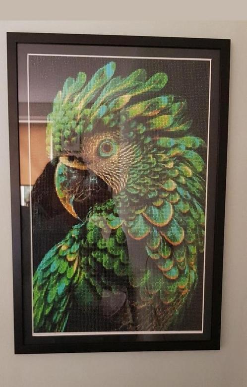 Schilderij Papegaai Ingelijst, Antiek en Kunst, Kunst | Overige Kunst, Ophalen of Verzenden
