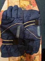 Salomon Wintersporthandschoenen, Ophalen of Verzenden, Gedragen, Overige maten, Overige typen