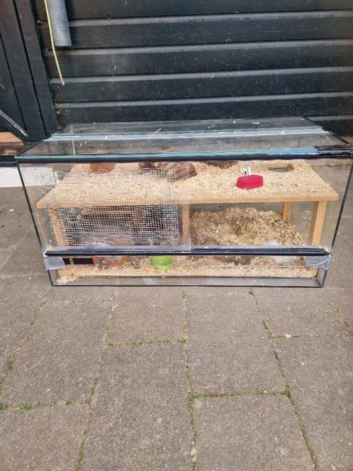 Hamsterverblijf 80x40x40, Dieren en Toebehoren, Knaagdieren en Konijnen | Hokken en Kooien, Gebruikt, Kooi, Minder dan 60 cm, 75 tot 110 cm