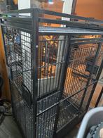Mooie papegaai kooi, Ophalen, Zo goed als nieuw, Metaal, Vogelkooi