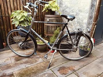 gazelle impala beschikbaar voor biedingen