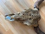 Carved buffalo / ox schedel by boo XL nieuw in doos, Huis en Inrichting, Woonaccessoires | Overige, Ophalen of Verzenden, Zo goed als nieuw