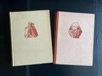 2 boeken van Mia Bruyn-Ouwehand Springvloed, dreigende brand, Ophalen of Verzenden, Gelezen