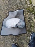 Audi A3 klokje, Fietsen en Brommers, Scooters | Piaggio, Ophalen of Verzenden, Benzine, Zip