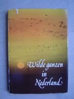 wilde ganzen in Nederland jacht jagen, Verzenden, Natuur algemeen