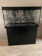 Aquarium 350 liter inclusief kast, Dieren en Toebehoren, Vissen | Aquaria en Toebehoren, Ophalen, Zo goed als nieuw, Leeg aquarium
