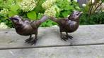 SET MERELS / brons / vogels / BRONZEN TUINBEELD/ bruin, Dierenbeeld, Nieuw, Info@huisentuindecoratiemarie.nl, Huis en tuin decoratie marie