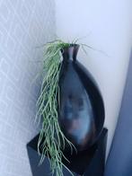 Grote zwarte vaas 46 cm hoog, Zwart, Ophalen of Verzenden, Minder dan 50 cm, Glas