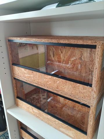 6 OSB terrariums beschikbaar voor biedingen