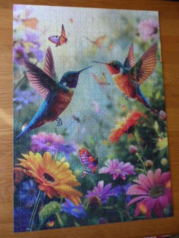 puzzel kolibrie beschikbaar voor biedingen