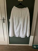Nieuwe Leon & harper rok maat 40, Kleding | Dames, Rokken, Ophalen of Verzenden, Nieuw, Maat 38/40 (M)