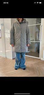 Elvine winterjas maat L, Maat 38/40 (M), Elvine, Ophalen of Verzenden, Grijs