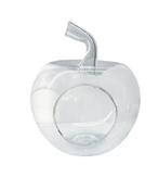 Glazen Appel Terrarium Pot met Gat, Huis en Inrichting, Woonaccessoires | Vazen, Wit, Nieuw, Ophalen of Verzenden, Glas