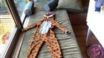 Onesie, voor baby’s, vos, maat 110/116, Ophalen of Verzenden, Gebruikt, 110 t/m 116, Jongen of Meisje