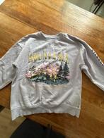 Trui, Paars, Ophalen of Verzenden, Pull & Bear, Maat 34 (XS) of kleiner
