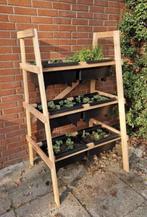Plantenrek voor kruiden, aardbeien en moestuin Bato bakken, Tuin en Terras, Nieuw, 60 cm of meer, Hout, Tuin