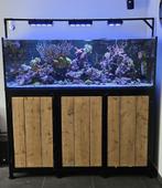 Geautomatiseerd en overcompleet zeewateraquarium (Neptune), Dieren en Toebehoren, Vissen | Aquaria en Toebehoren, Ophalen, Gebruikt