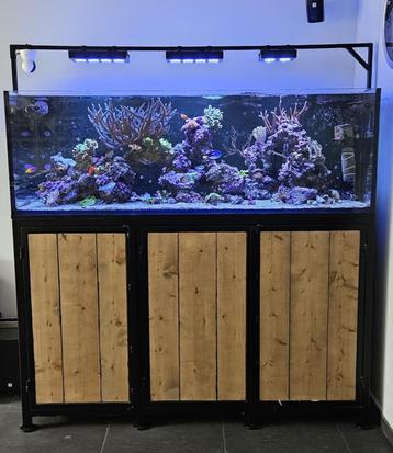 Geautomatiseerd en overcompleet zeewateraquarium (Neptune) beschikbaar voor biedingen