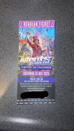 Intents Festival Ticket Zaterdag 31 Mei 2025, Eén persoon