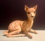 Opgezet reekalfje, Ophalen of Verzenden