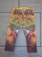 Carnaval legging mt 74. Herfstthema eekhoorn bos, Ophalen of Verzenden, Zo goed als nieuw, Maat 38/40 (M), Bruin
