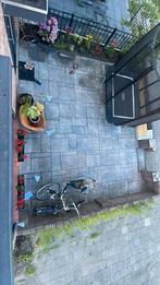 Gratis tuin tegels 30 m2! Zelf eruit halen, je krijgt 100€!!, 60 cm of meer, 60 cm of meer, Ophalen of Verzenden, Zo goed als nieuw