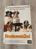 Poster Beethoven hond, Verzamelen, Rechthoekig Staand, Deurposter of groter, Ophalen of Verzenden, Zo goed als nieuw