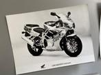 4 originele Honda fabrieks foto’s (jaren 80), 1960 tot 1980, Foto, Ophalen of Verzenden, Zo goed als nieuw