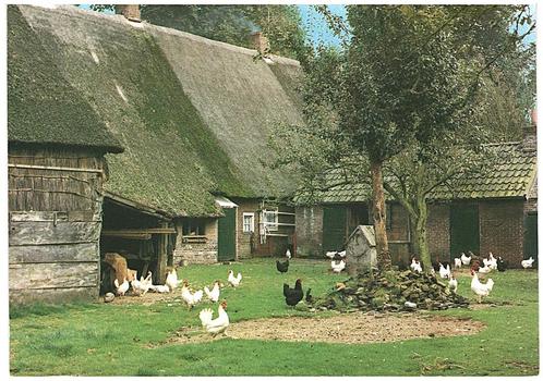 963889	Drenthe	Boerderij	Mooie Oude kaart onbeschreven, Verzamelen, Ansichtkaarten | Nederland, Ongelopen, Drenthe, Ophalen of Verzenden