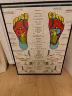 Reflexologie kaart, Ophalen of Verzenden