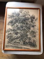 Oude houtskool tekening, Ophalen of Verzenden