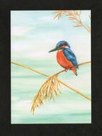 IJsvogel op Rietstengel door Christel Company., Ophalen of Verzenden, 1980 tot heden, Ongelopen, Vogel