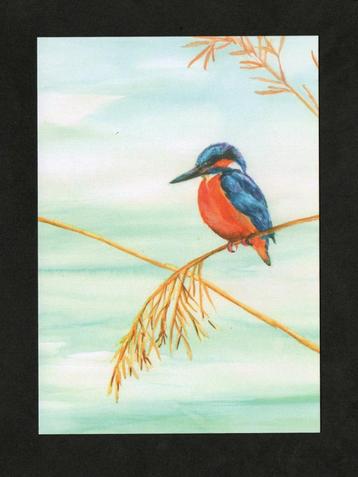 IJsvogel op Rietstengel door Christel Company. beschikbaar voor biedingen