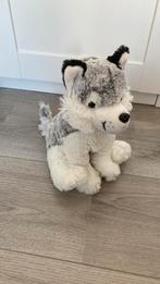 Knuffel hond husky, 25x18 cm, nieuwstaat, Ophalen of Verzenden, Zo goed als nieuw, Hond