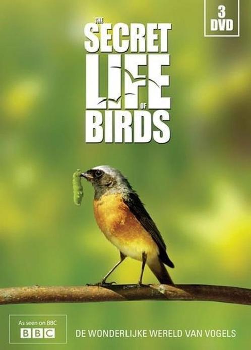 The secret life of Birds - 3dvd box - natuurdocumentaire, Cd's en Dvd's, Dvd's | Documentaire en Educatief, Zo goed als nieuw