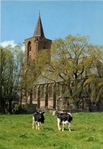 Bunschoten, N.H. Kerk - koeien - ongelopen, Ophalen of Verzenden, Voor 1920, Ongelopen, Noord-Brabant