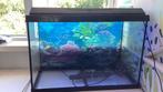 Mooi groot juwel aquarium, Dieren en Toebehoren, Vissen | Aquaria en Toebehoren, Ophalen of Verzenden, Zo goed als nieuw, Leeg aquarium