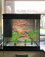 Aquatlantis Volga 120 incl Easy Led Control 1, Dieren en Toebehoren, Ophalen, Zo goed als nieuw, Leeg aquarium