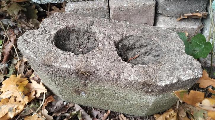 Gratis terras tegels, Tuin en Terras, Tegels en Klinkers, Gebruikt, Terrastegels, Beton, Ophalen