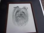 schets hond, Minder dan 50 cm, Ophalen of Verzenden, Zo goed als nieuw, Schilderij