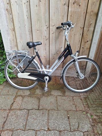 Sparta Lexicon 53cm 8v beschikbaar voor biedingen