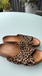 Slippers 41 INUOVO luipaard print., Ophalen of Verzenden, Zo goed als nieuw