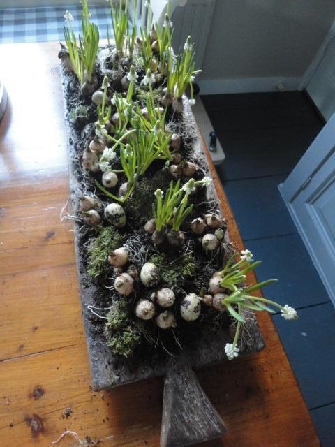 antieke HOUTEN PLANK met INKEPINGEN, lengte 72 cm, Ophalen of Verzenden