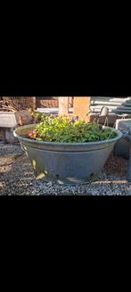 Brocante antieke zinken teil - teilen wasteil plantenbak, Ophalen, Gebruikt, Balkon, Metaal